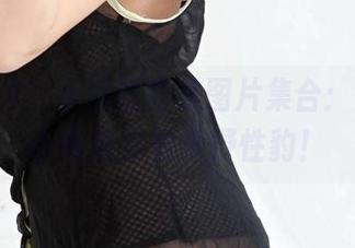 3Agirl – 小悦的豹纹图片集合：愤怒的小鸟转身变身野性豹！