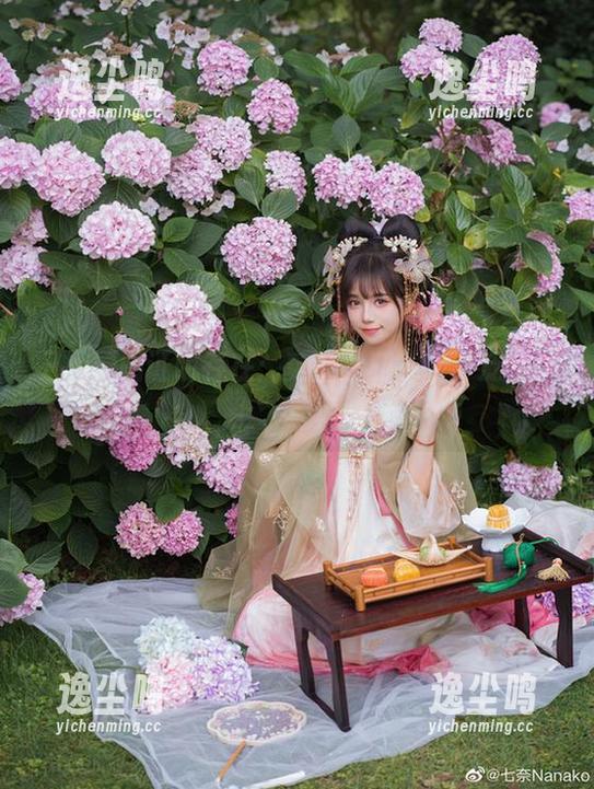 只用原图证明存在：贰加六和她的“泛舟溪上”写真集